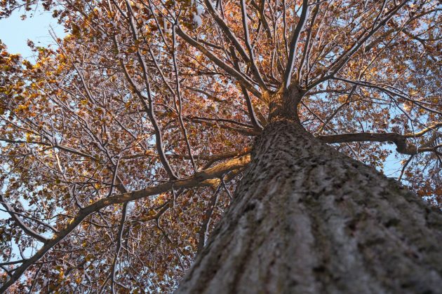 Fujifilm 23mm f/2.8 R WR — компактный объектив | DGL.RU