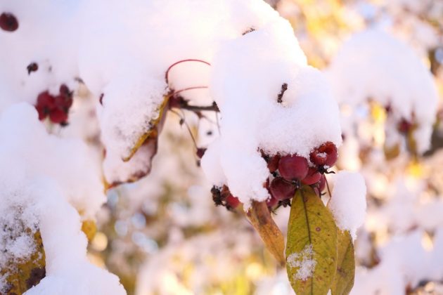 Fujifilm 23mm f/2.8 R WR — компактный объектив | DGL.RU