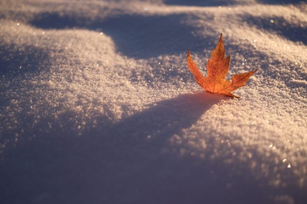 Fujifilm 23mm f/2.8 R WR — компактный объектив | DGL.RU