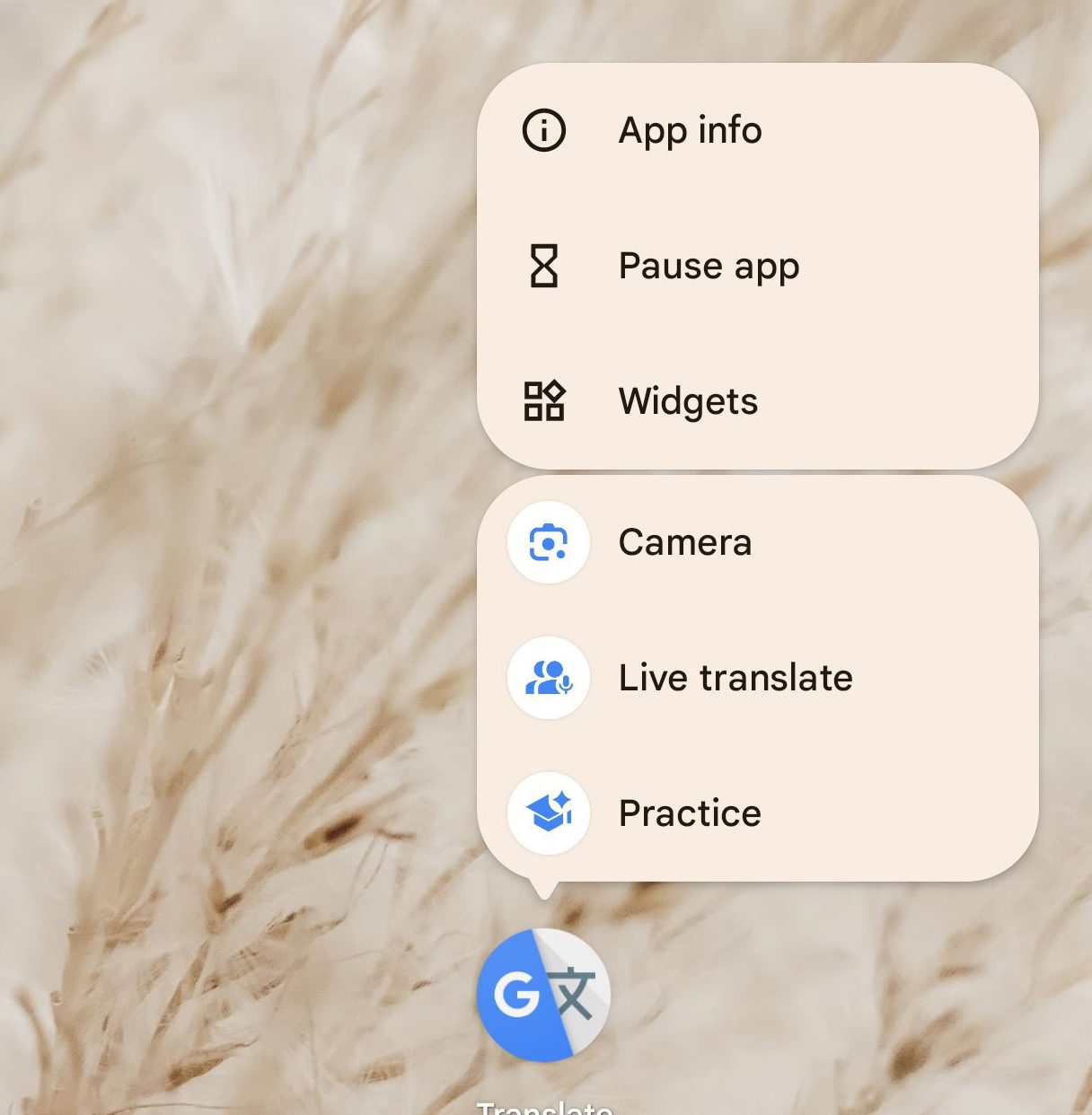 Google Translate прокачивает обучение языкам: новые возможности Practice картинка Google Translate добавит быстрые клавиши | DGL.RU
