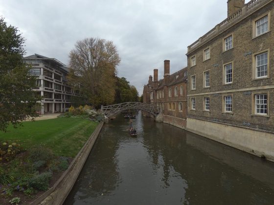 Камера Enlaps Tikee mini+: простота и качество 4K | DGL.RU