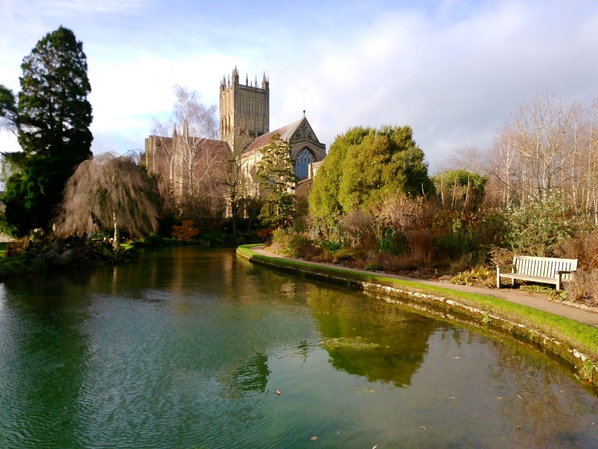 Обзор Yashica City 300: превосходное качество изображения картинка Камера Yashica City 300: стильная, лёгкая | DGL.RU