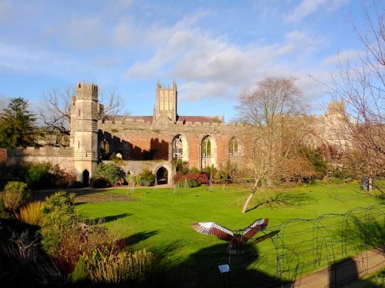 Камера Yashica City 300: стильная, лёгкая | DGL.RU