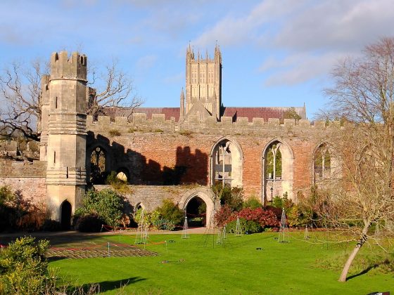 Камера Yashica City 300: стильная, лёгкая | DGL.RU