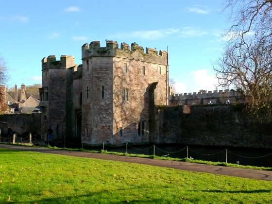 Камера Yashica City 300: стильная, лёгкая | DGL.RU