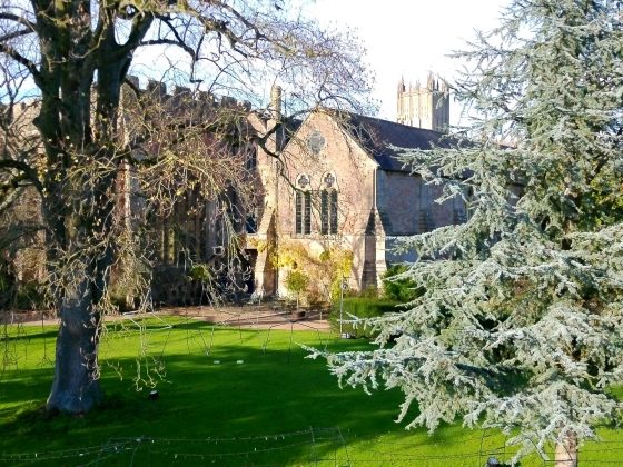 Камера Yashica City 300: стильная, лёгкая | DGL.RU