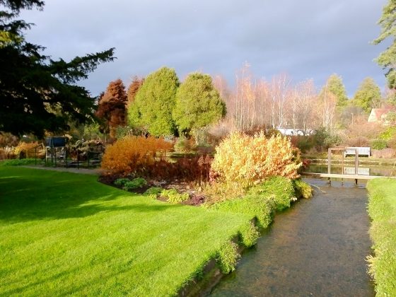 Камера Yashica City 300: стильная, лёгкая | DGL.RU