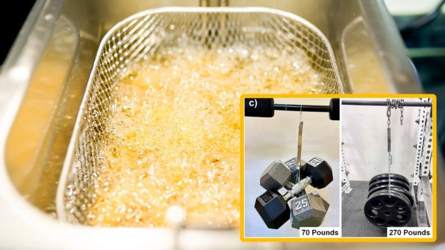 Клей из растительного масла выдерживает вес авто | DGL.RU1 Клей из растительного масла выдерживает вес авто | DGL.RU