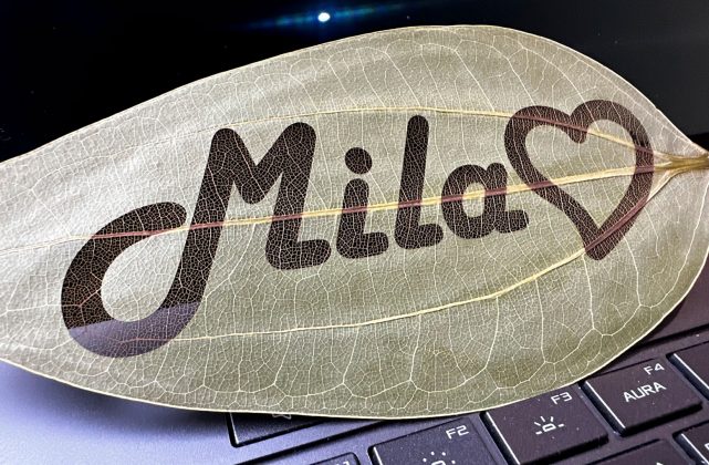 Лазер ComMarker Omni X: закрытая конструкция, LiDAR