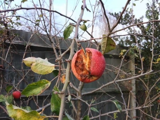 Lenovo Idea Tab с Tab Pen &mdash; бюджетный планшет | DGL.RU