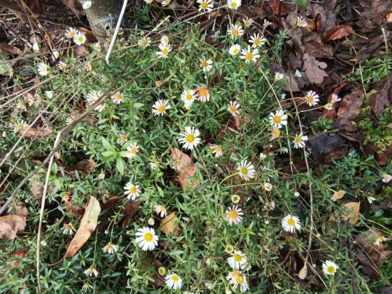 Lenovo Idea Tab с Tab Pen &mdash; бюджетный планшет | DGL.RU