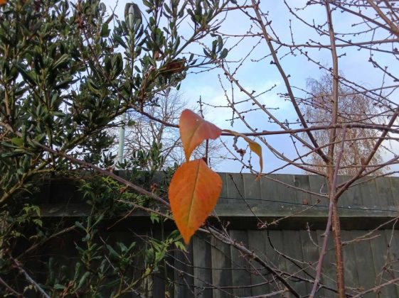 Lenovo Idea Tab с Tab Pen &mdash; бюджетный планшет | DGL.RU