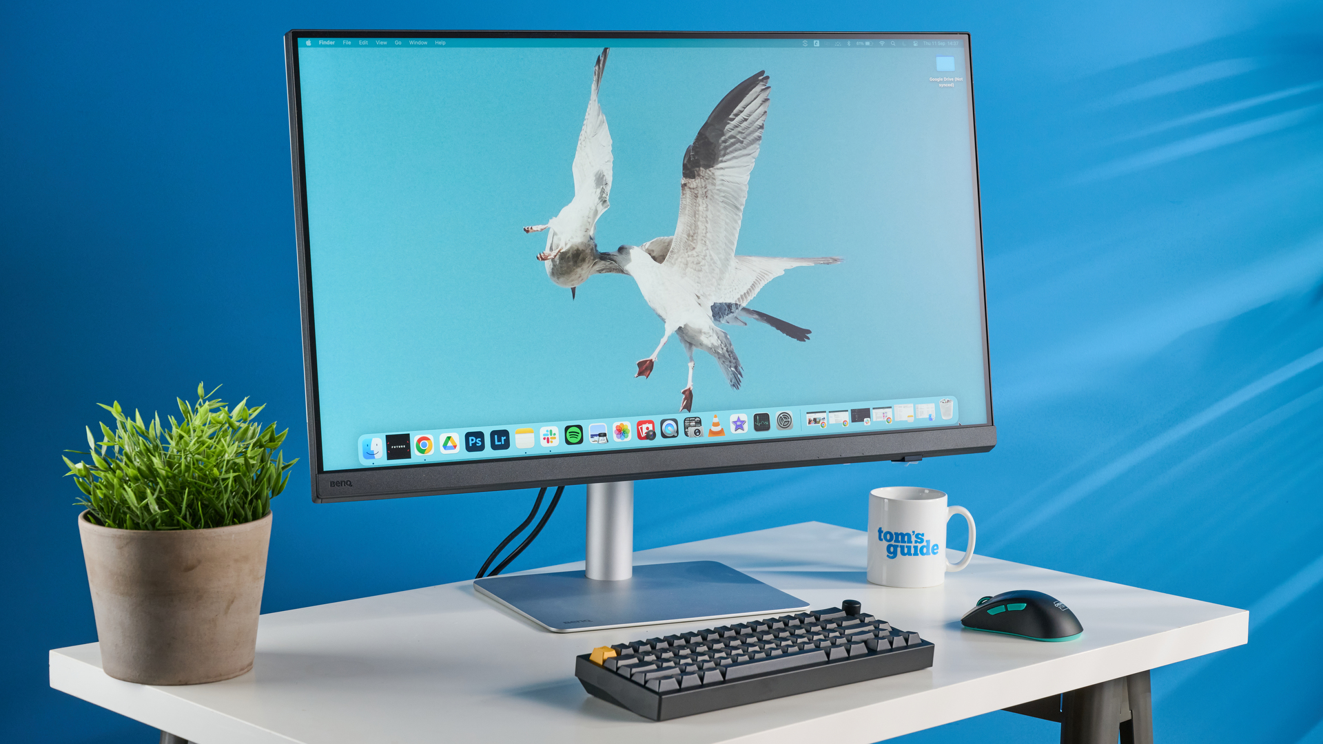 Монитор BenQ PD3226G: 4K, точная цветопередача | DGL.RU