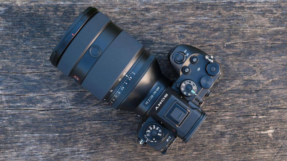 Лучшие фотокамеры 2026: названы победители | DGL.RU