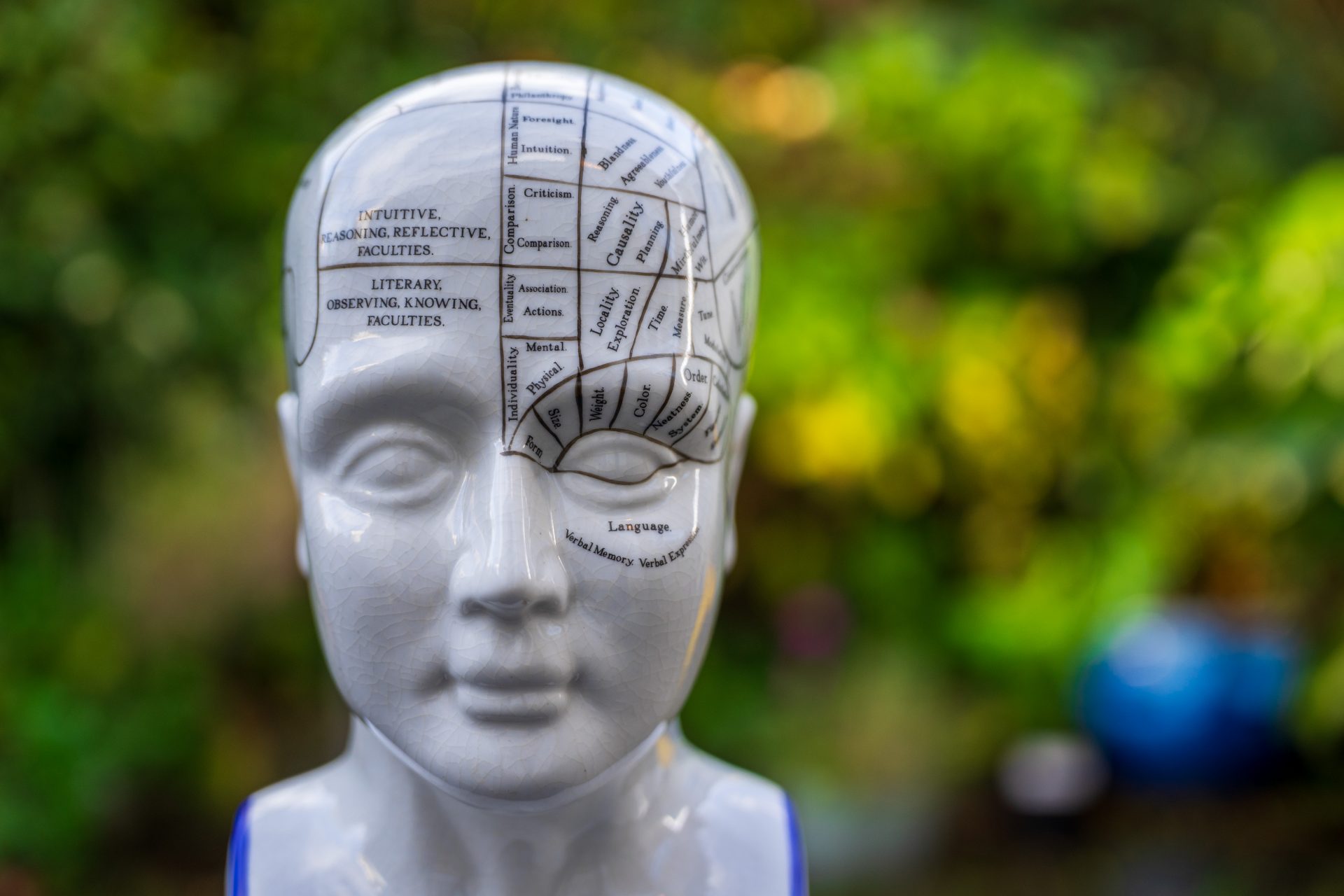 Объектив LK Samyang AF 24-60mm f/2.8 FE | DGL.RU