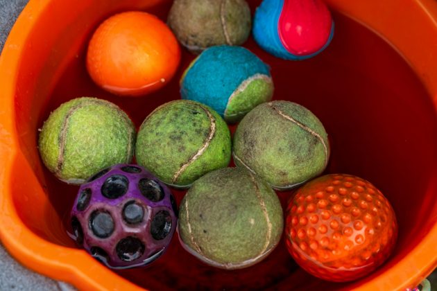 Объектив LK Samyang AF 24-60mm f/2.8 FE | DGL.RU