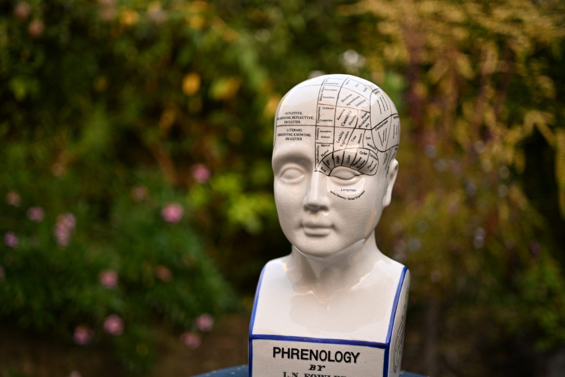 Обзор Nikon Z DX MC 35mm f/1.7: объектив для повседневной съемки картинка Объектив Nikon Z DX MC 35mm f/1.7 | DGL.RU