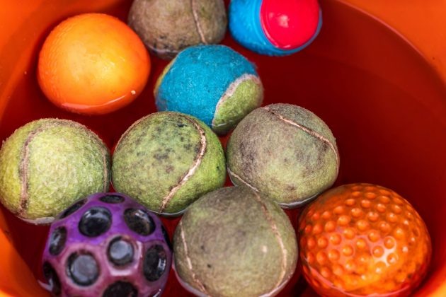 Объектив Panasonic Lumix S 24&ndash;60mm f/2.8 | DGL.RU