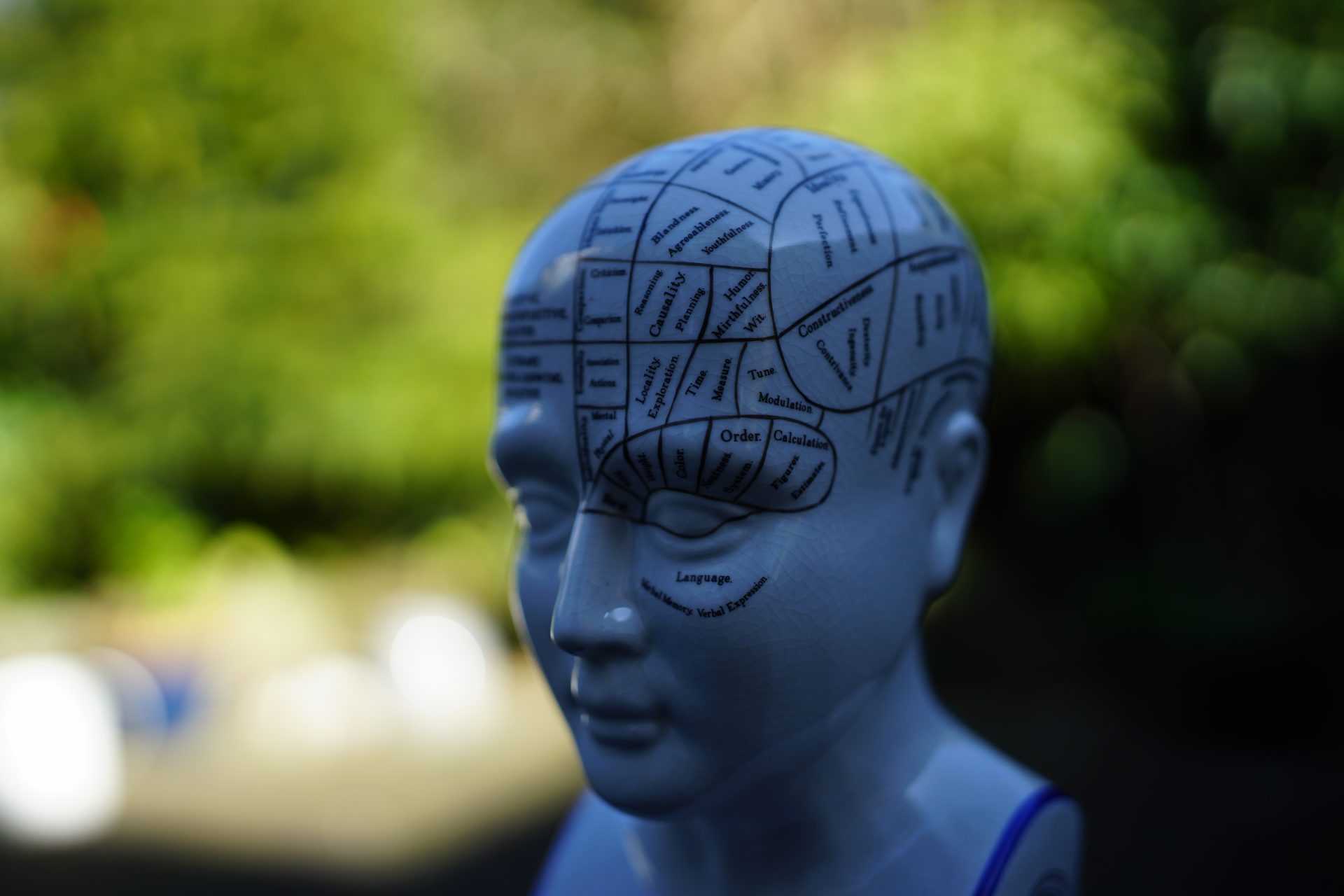 Обзор объектива Viltrox AF 35mm f/1.2: Viltrox создала нечто сверхбыстрое картинка Объектив Viltrox AF 35mm f/1.2 Lab бросает вызов | DGL.RU