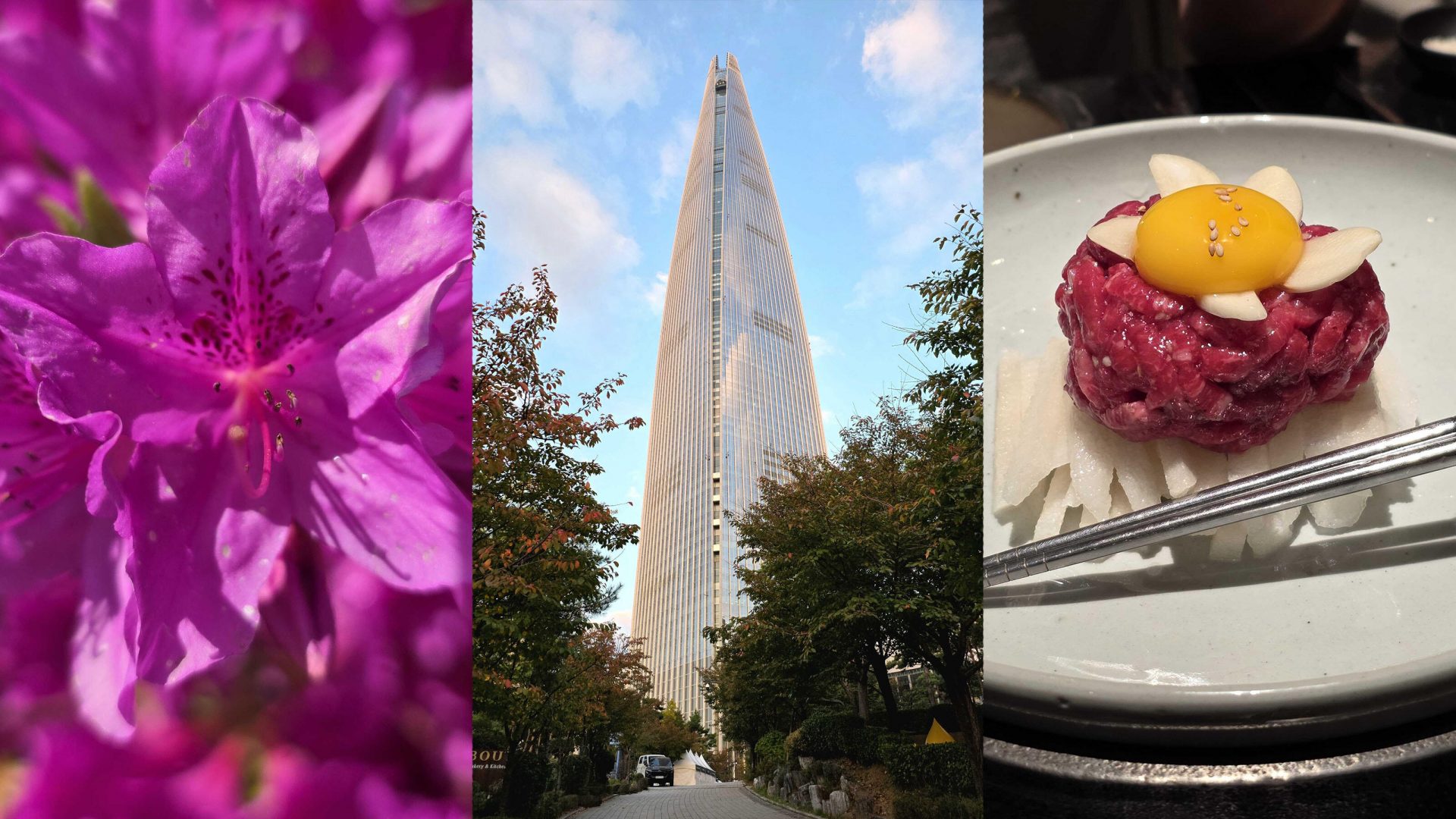 OnePlus 15 расстроил камерой, но заставил забыть о Galaxy S25 Ultra