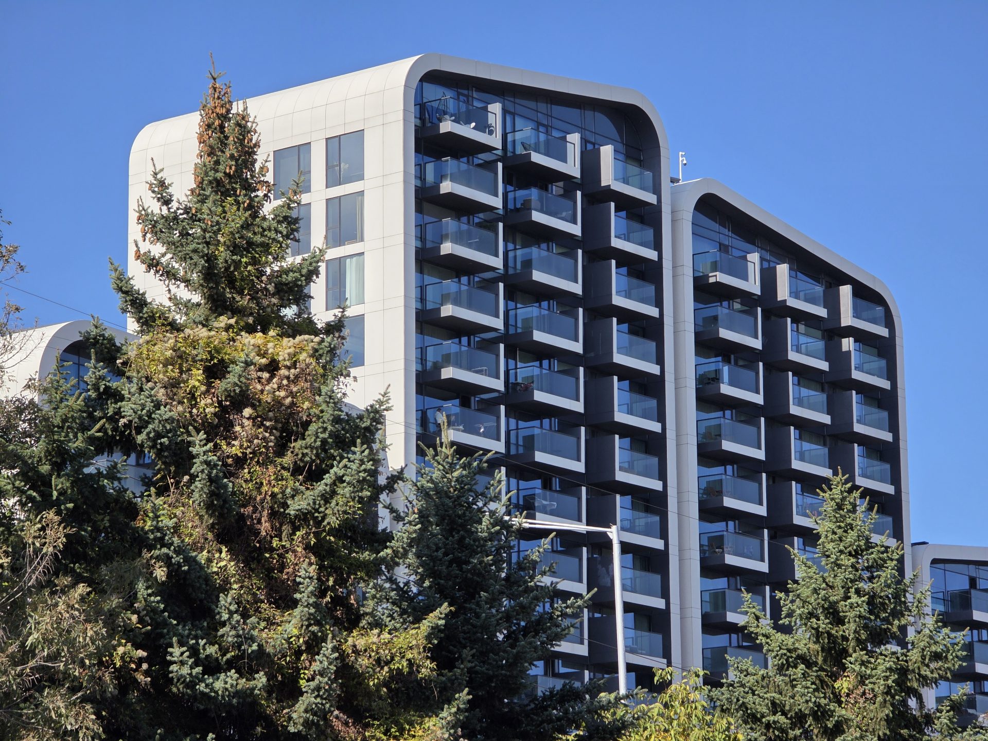 Google Pixel 10 Pro XL vs Samsung Galaxy S25 Ultra — сражение гигантов картинка Pixel 10 Pro XL vs Galaxy S25 Ultra: топ-флагманы | DGL.RU