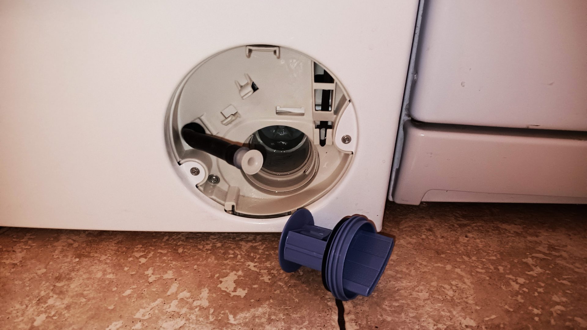 Почему даже лучшие стиральные машины начинают дурно пахнуть, и что вы зря пропускаете в уходе картинка Почему даже лучшие стиральные машины начинают дурно пахнуть, и что вы зря пропускаете в уходе