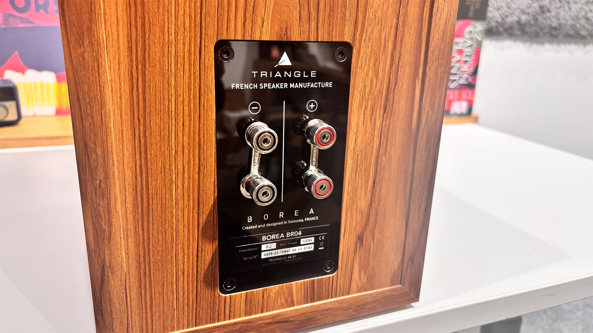 Полочные колонки Triangle Borea BR04 | DGL.RU