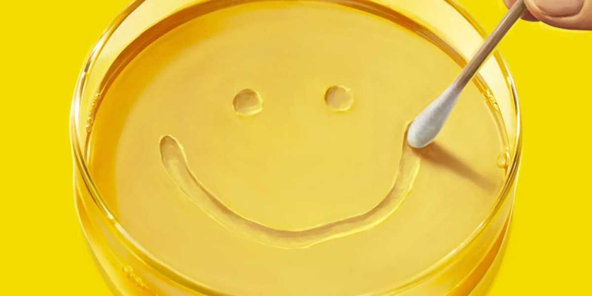 Премия Apple Awards 2025 и лучшие продукты | DGL.RU