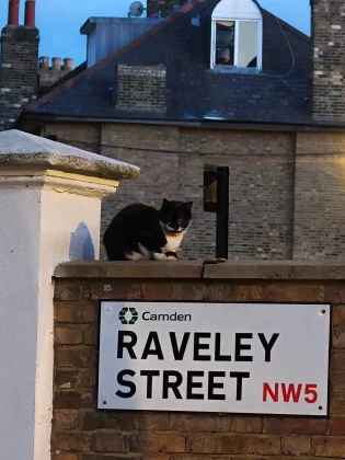 Разочарование года сравнили камеры Pixel 10 Pro и Oppo Find X8 Ultra. И вот почему вы не купите ни один из них