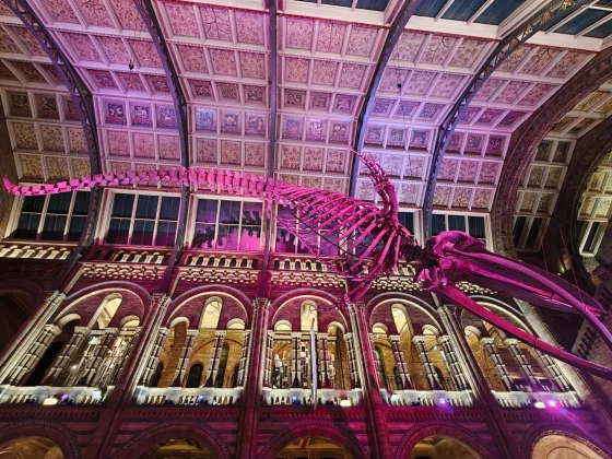 Разочарование года: сравнили камеры Pixel 10 Pro и Oppo Find X8 Ultra. И вот почему вы не купите ни один из них фото