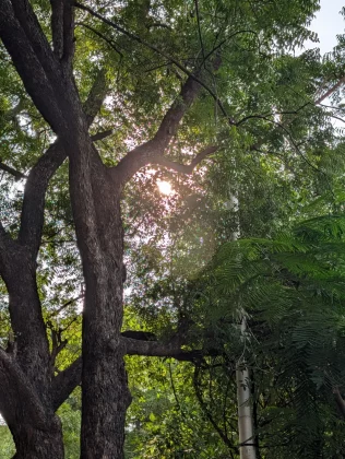 Разочарование года сравнили камеры Pixel 10 Pro и Oppo Find X8 Ultra. И вот почему вы не купите ни один из них