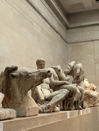 Разочарование года сравнили камеры Pixel 10 Pro и Oppo Find X8 Ultra. И вот почему вы не купите ни один из них