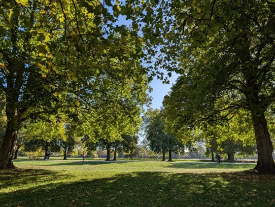 Разочарование года сравнили камеры Pixel 10 Pro и Oppo Find X8 Ultra. И вот почему вы не купите ни один из них