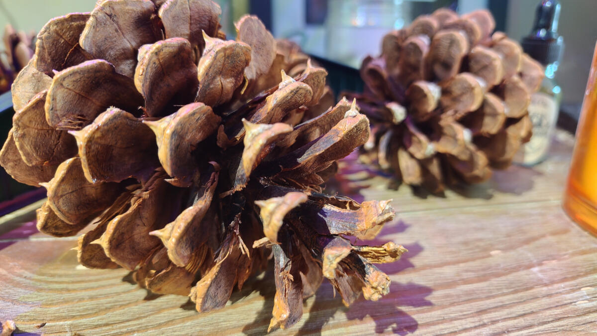 Redmagic 11 Pro — мощный игровой смартфон | DGL.RU