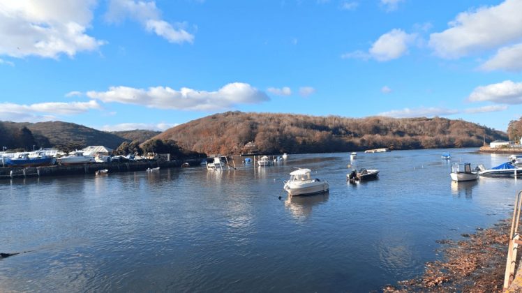 Redmagic 11 Pro &mdash; топовый игровой смартфон | DGL.RU