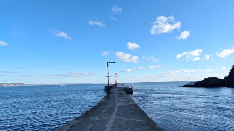 Redmagic 11 Pro &mdash; топовый игровой смартфон | DGL.RU