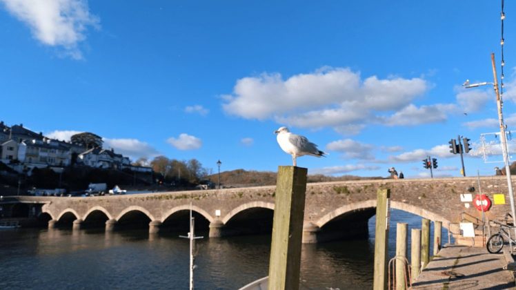 Redmagic 11 Pro &mdash; топовый игровой смартфон | DGL.RU