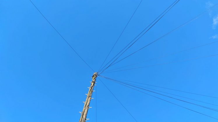 Redmagic 11 Pro &mdash; топовый игровой смартфон | DGL.RU