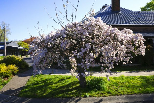 Ricoh GR IV застрял между амбициями и реальностью: почему культовой камере стало труднее удивлять