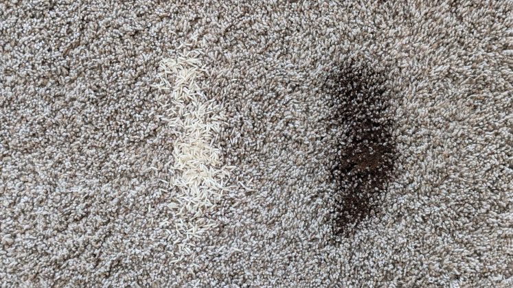 Робот-пылесос Eufy E25 Omni &mdash; мощная уборка | DGL.RU