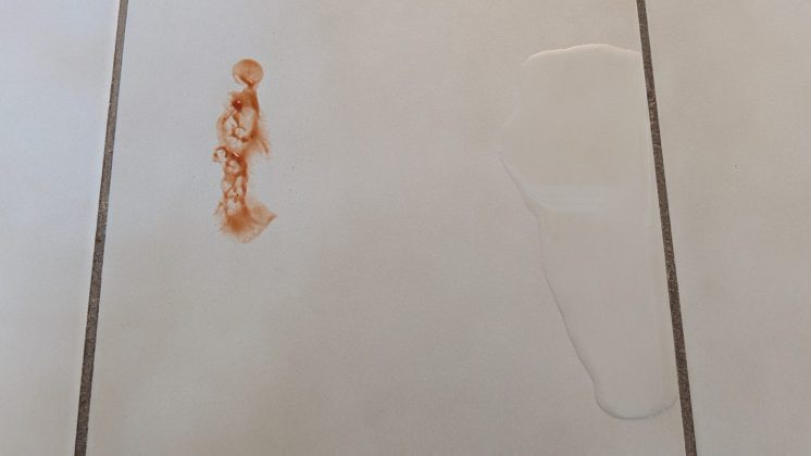 Робот-пылесос Eufy E25 Omni &mdash; мощная уборка | DGL.RU