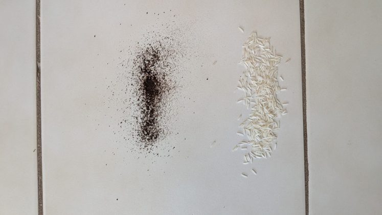 Робот-пылесос Eufy E25 Omni &mdash; мощная уборка | DGL.RU