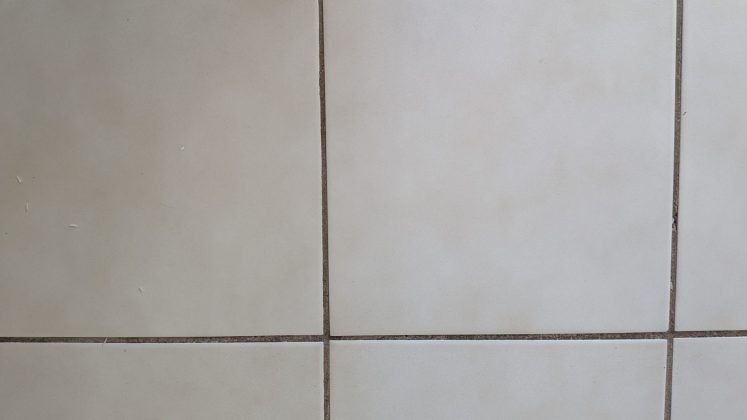 Робот-пылесос Eufy E25 Omni &mdash; мощная уборка | DGL.RU