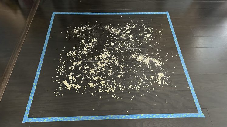 Робот-пылесос Narwal Freo Z10 Ultra | DGL.RU