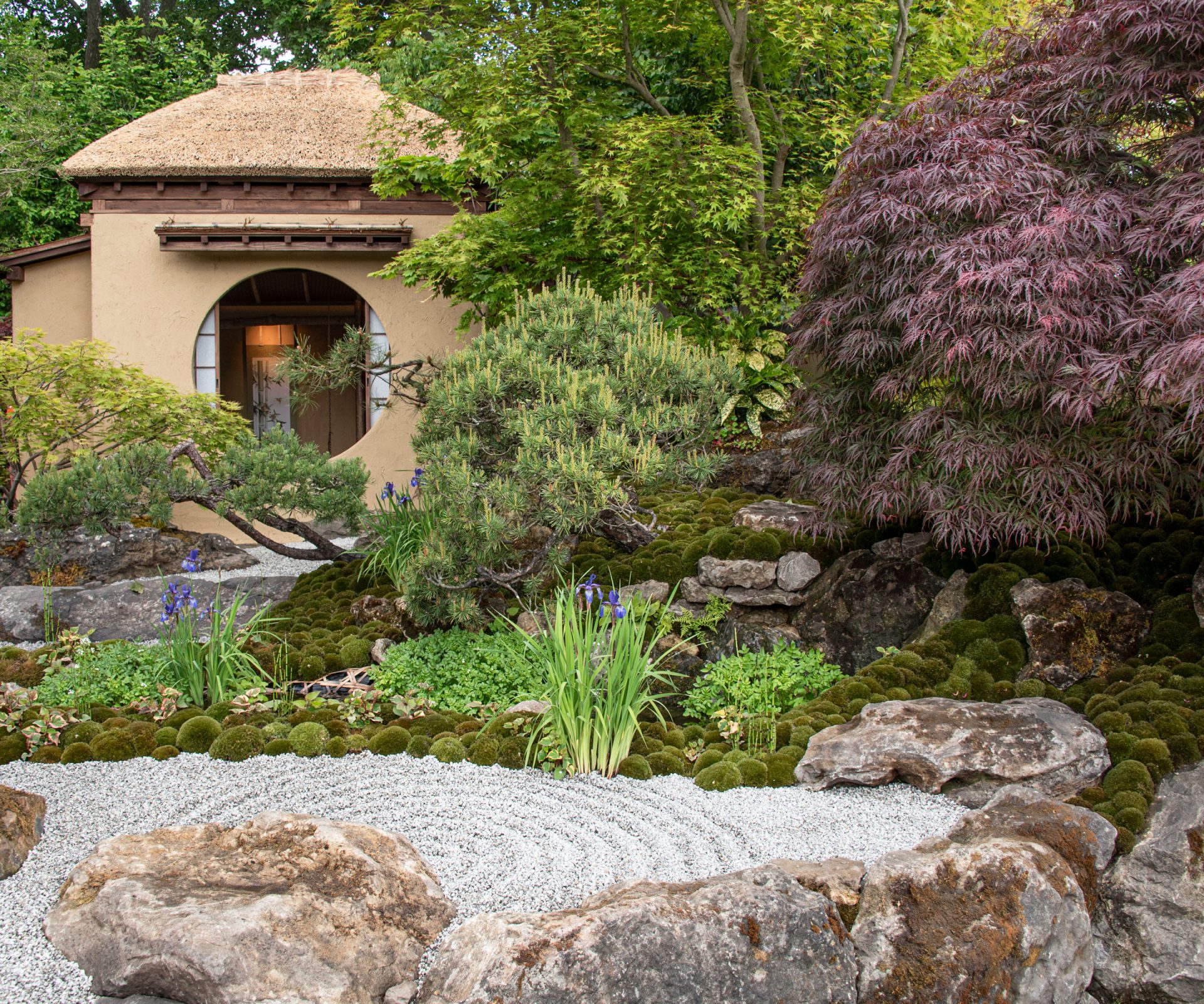 Сад с пространством для гармонии и спокойствия | DGL.RU