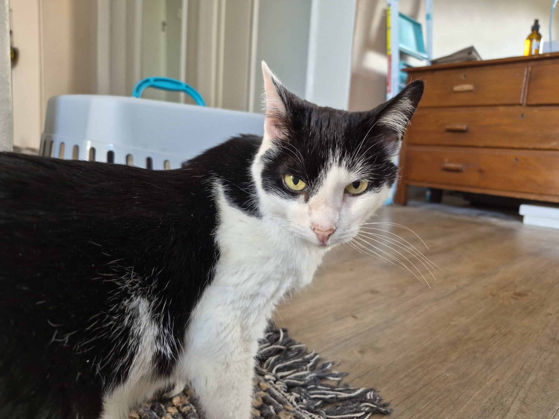 Samsung Galaxy S25 FE — хороший вариант для всех, кроме новых владельцев FE картинка Смартфон Galaxy S25 FE: эволюция Fan Edition | DGL.RU