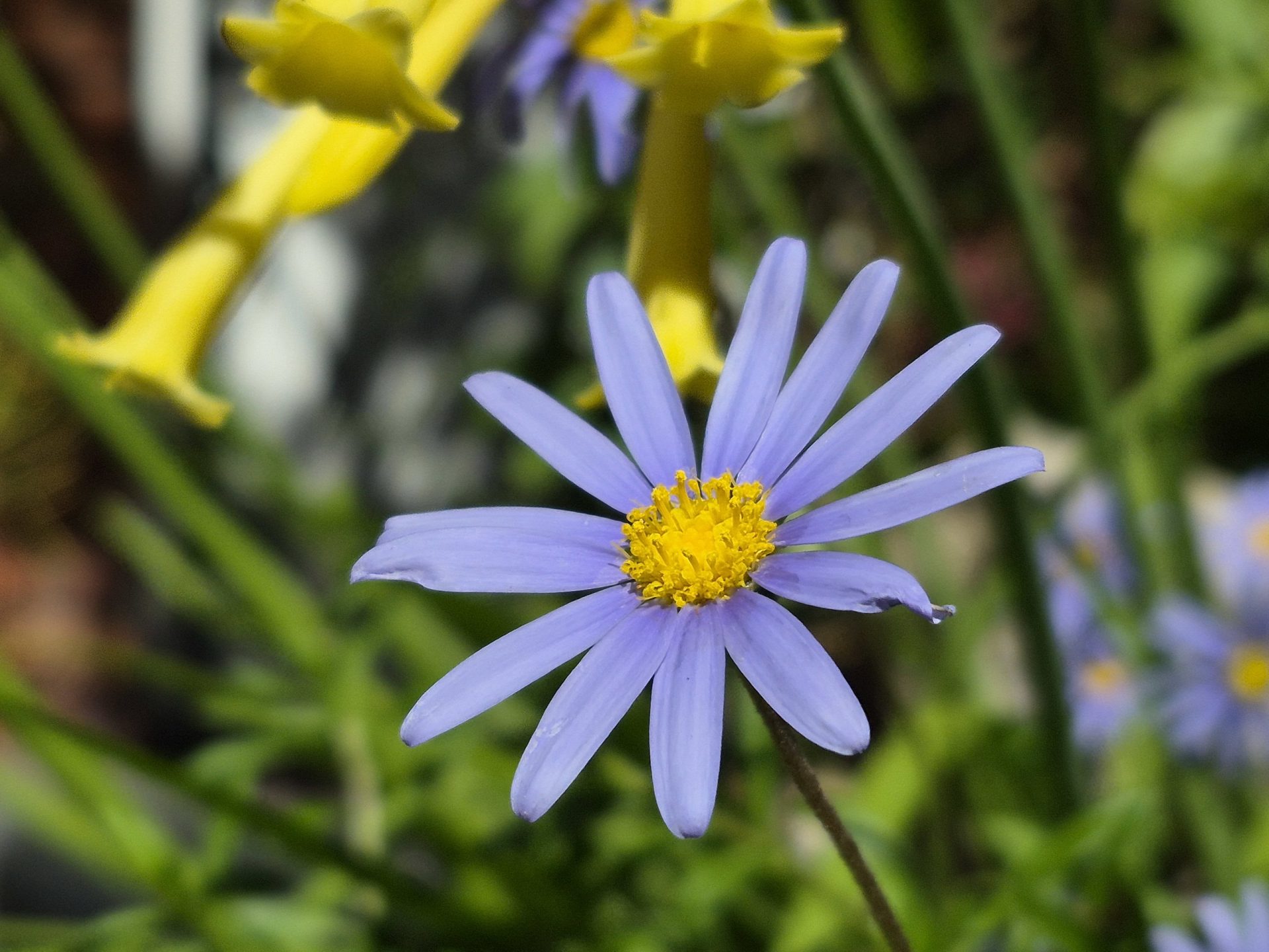 Samsung Galaxy S25 FE — хороший вариант для всех, кроме новых владельцев FE картинка Смартфон Galaxy S25 FE: эволюция Fan Edition | DGL.RU