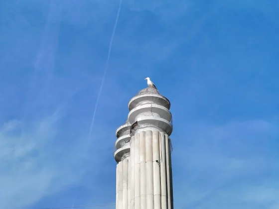 Смартфон Honor Magic 8 Lite: 3 дня от батареи | DGL.RU