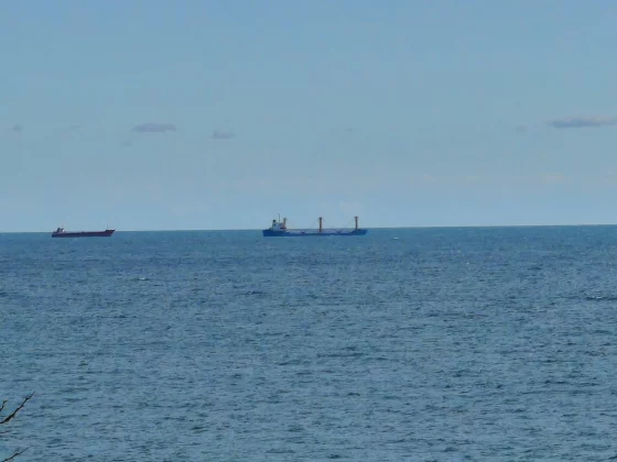 Смартфон Honor Magic 8 Lite: 3 дня от батареи | DGL.RU