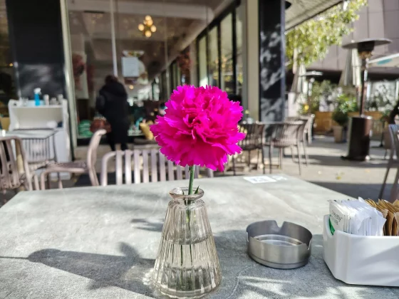 Смартфон Honor Magic 8 Lite: 3 дня от батареи | DGL.RU